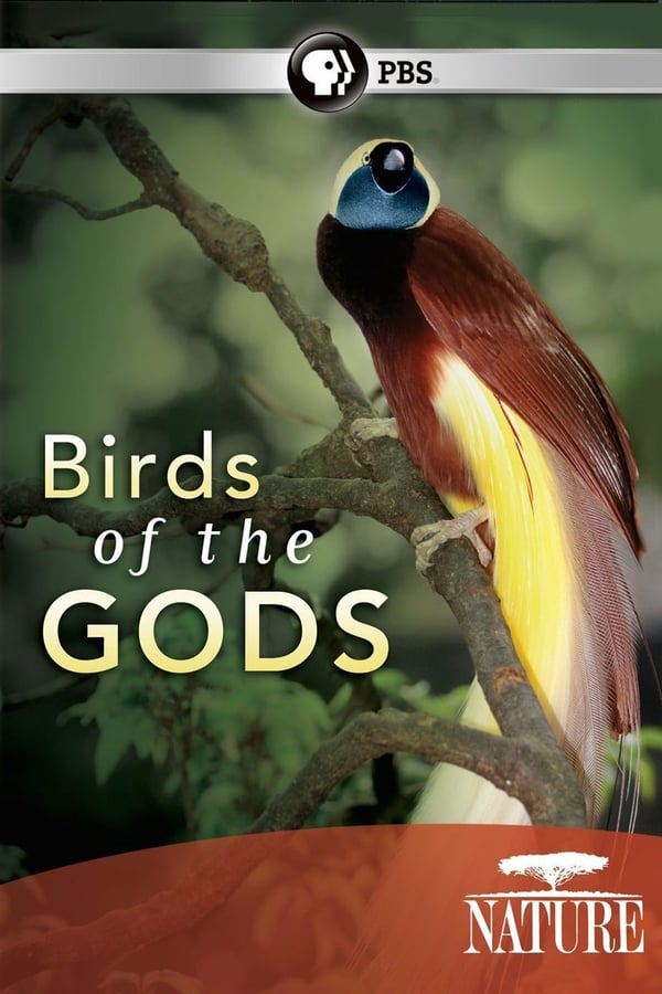 IR - Nature: Birds of the Gods