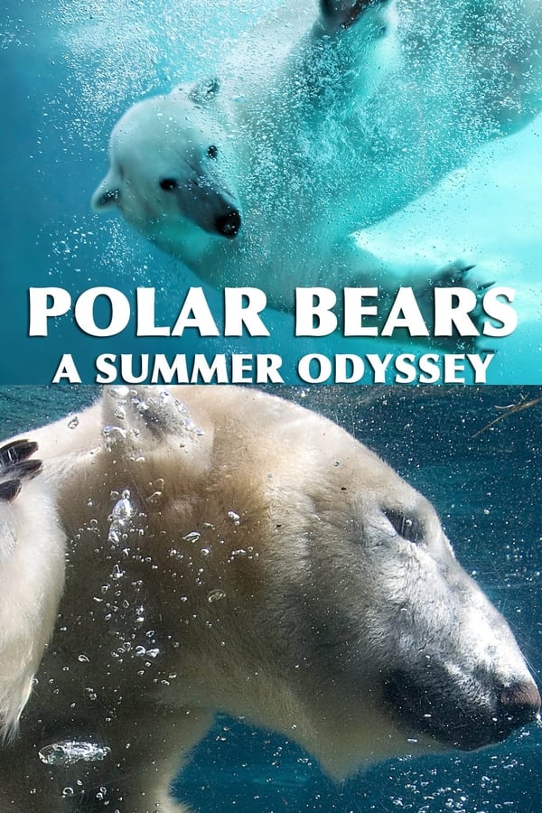 AL - Polar Bears: A Summer Odyssey  (2012)