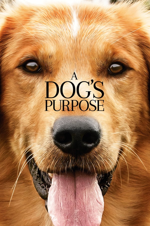 SC - A Dog's Purpose (2017)