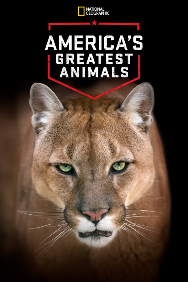 D+ - America's Greatest Animals (2012)