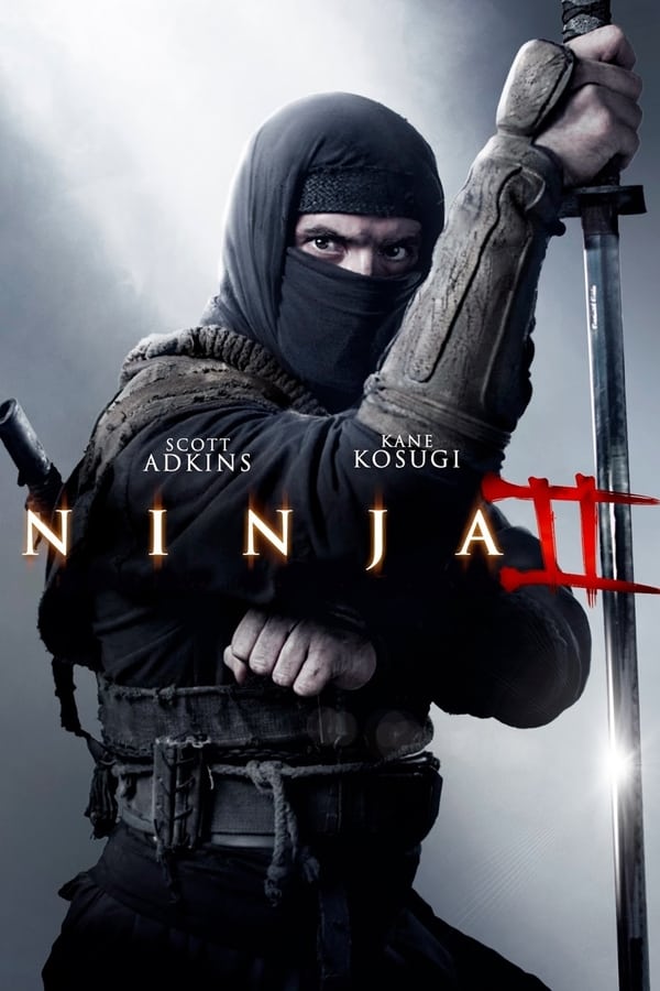 IN - Ninja: Shadow of a Tear  (2013)