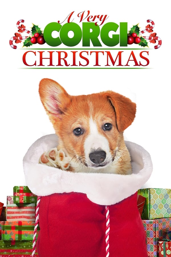 SC - A Very Corgi Christmas (2019)