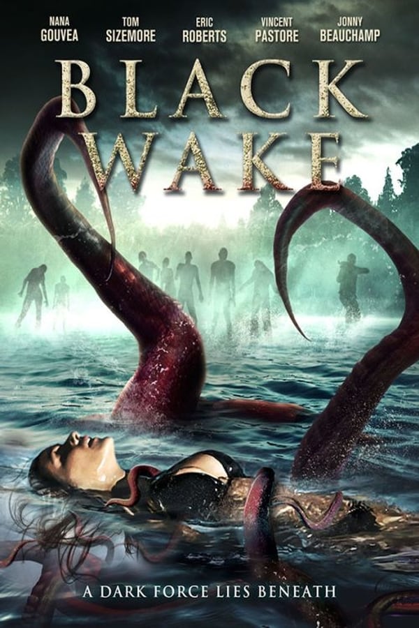 AR - Black Wake