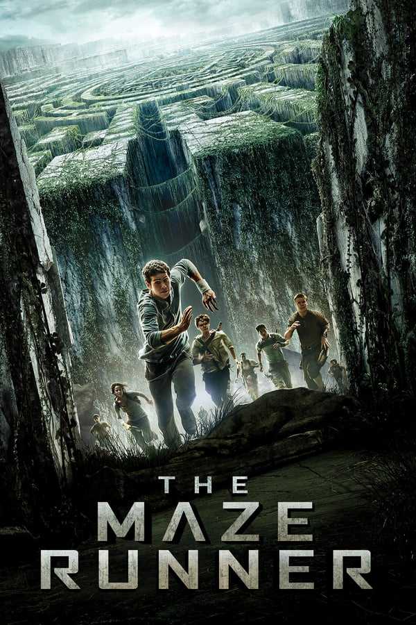 IN - The Maze Runner