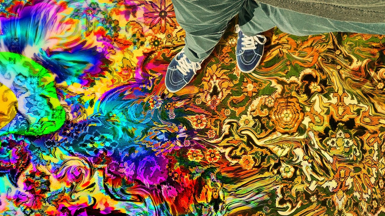 Have a Good Trip: Adventures in Psychedelics 0