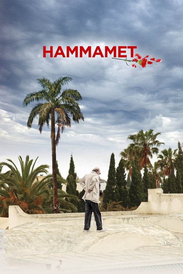IT - Hammamet