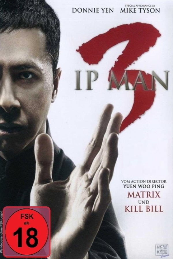 DE - Ip Man 3 (2015) (4K)