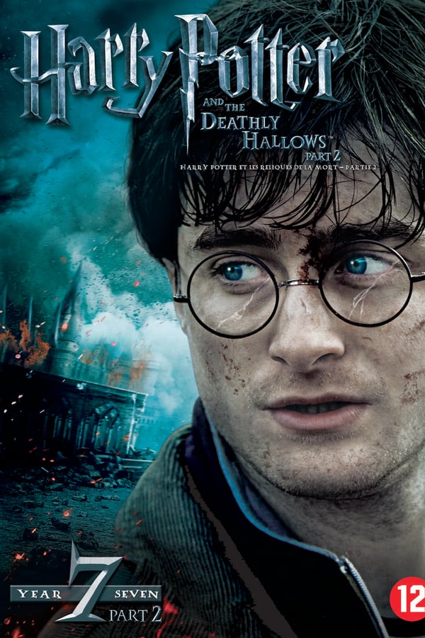 NL - Harry Potter 7 en de Relieken van de Dood - Deel 2 (2010)