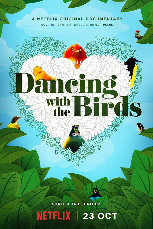 NF - Dancing with the Birds (2019)
