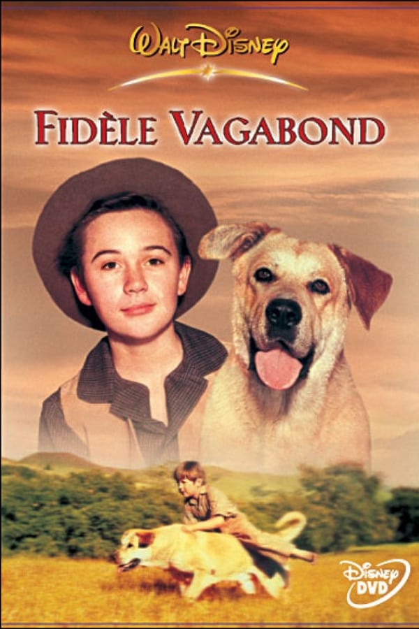 FR - Fidèle vagabond (1957)