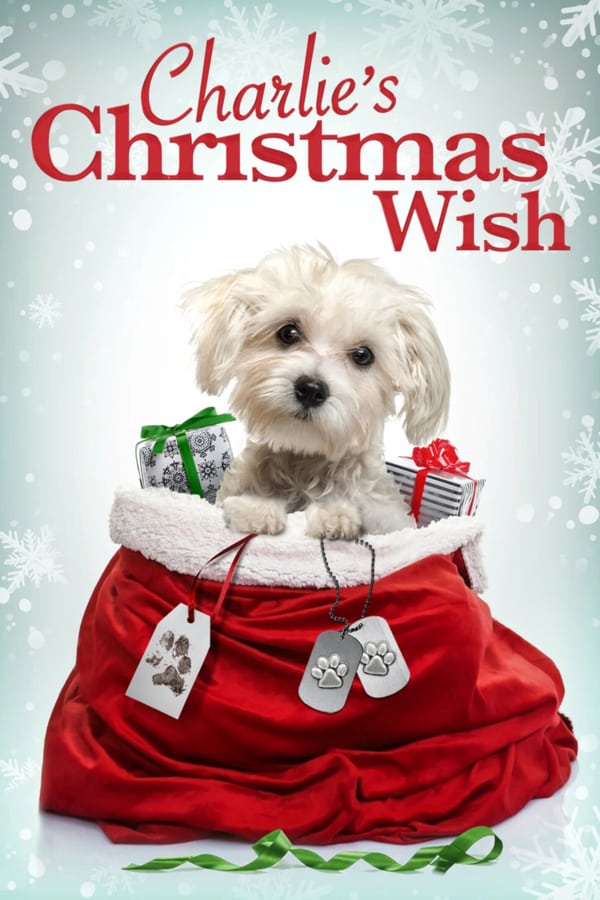 AL - Charlie's Christmas Wish  (2020)