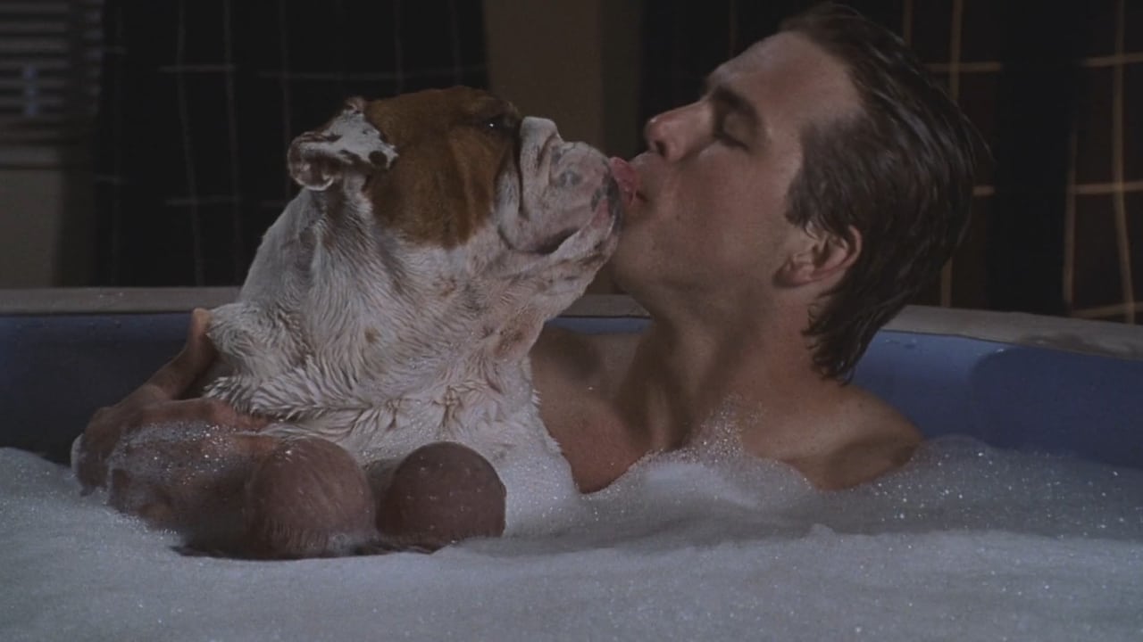 National Lampoon's Van Wilder 0