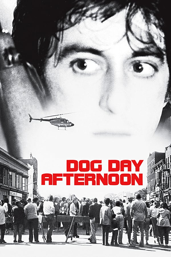 IR - Dog Day Afternoon