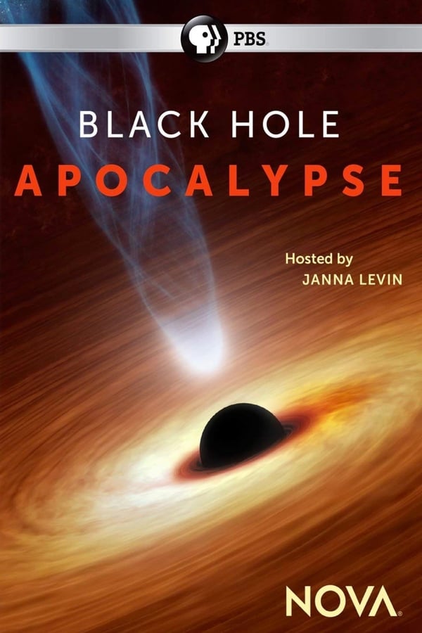 TR - Black Hole Apocalypse