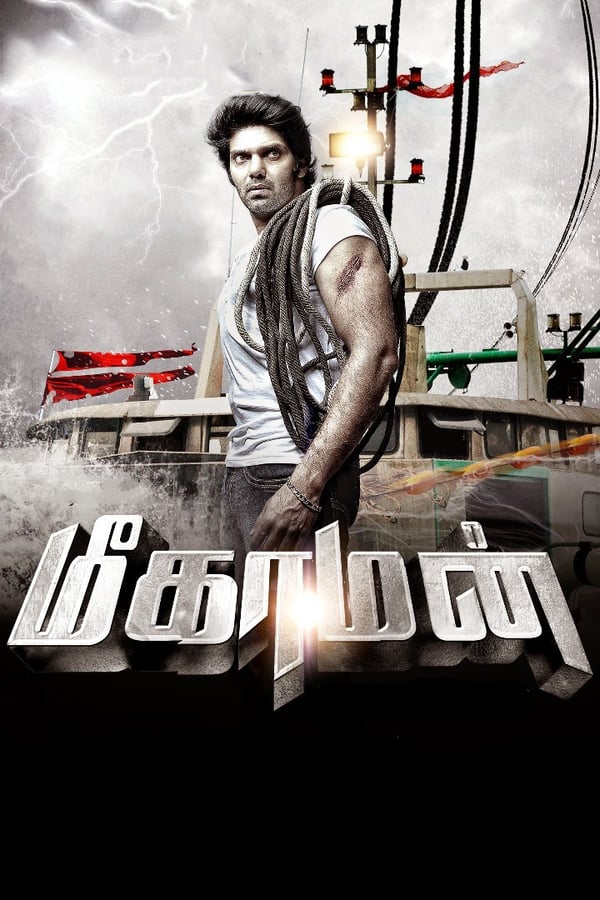 SOM - Meaghamann