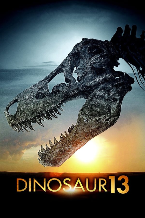 IN - Dinosaur 13