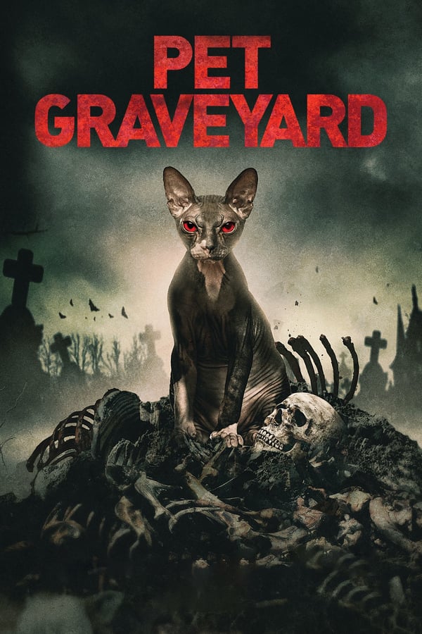 NF - Pet Graveyard (2019)