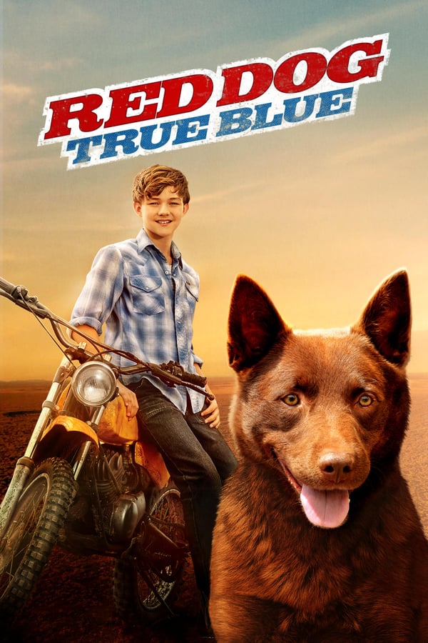 NF - Red Dog: True Blue (2016)
