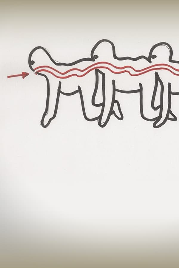 The Human Centipede (First Sequence) 0