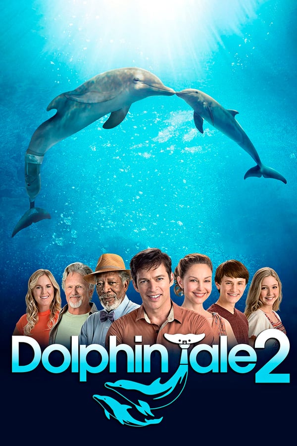 IN - Dolphin Tale 2