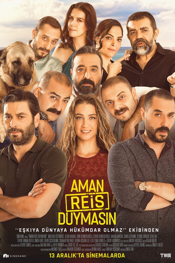 TR - Aman Reis Duymasın (2019)