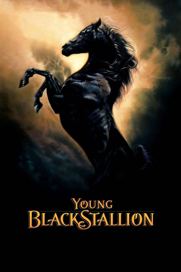 SE - Young Black Stallion