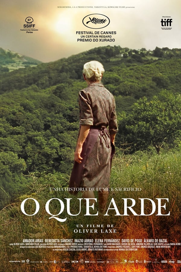 BR - O que arde - 2019