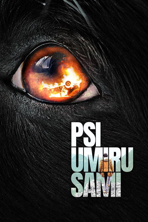 EX - Psi umiru sami (2019)