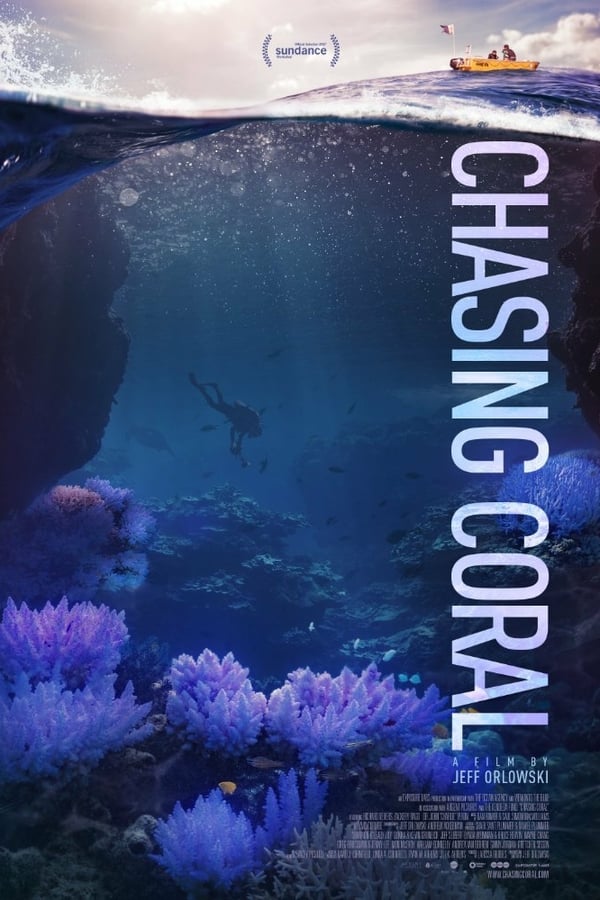 NF - Chasing Coral