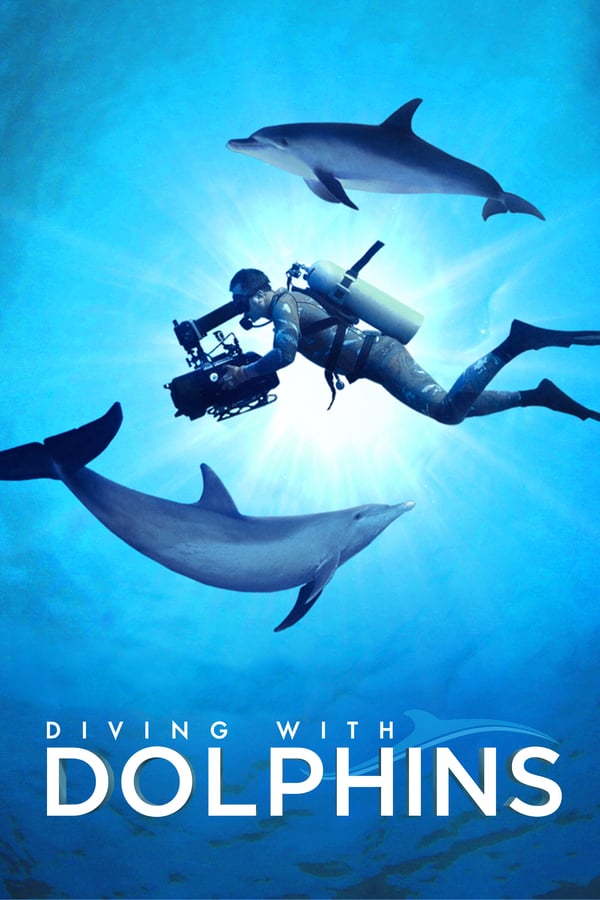 NL - DIVING WITH DOLPHINS (2021)