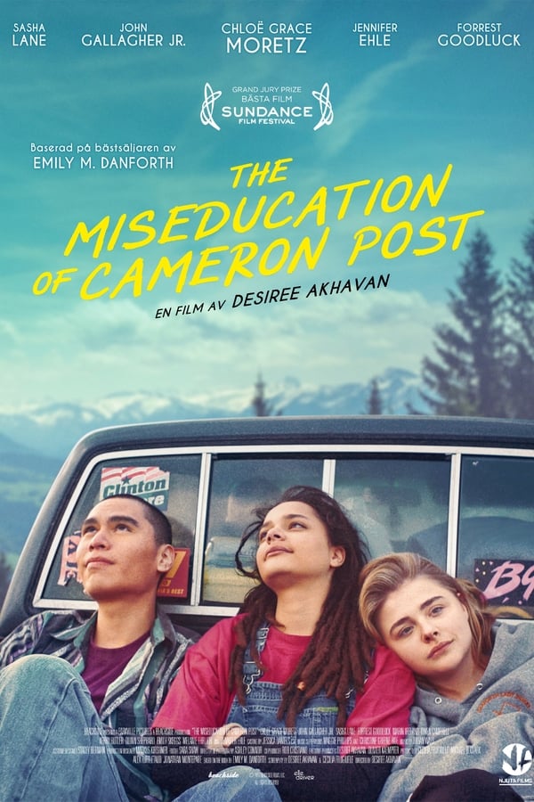 SE - The Miseducation of Cameron Post