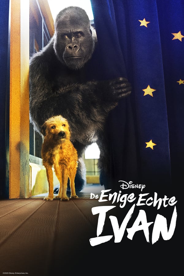 NL - De enige echte IVAN (2020)