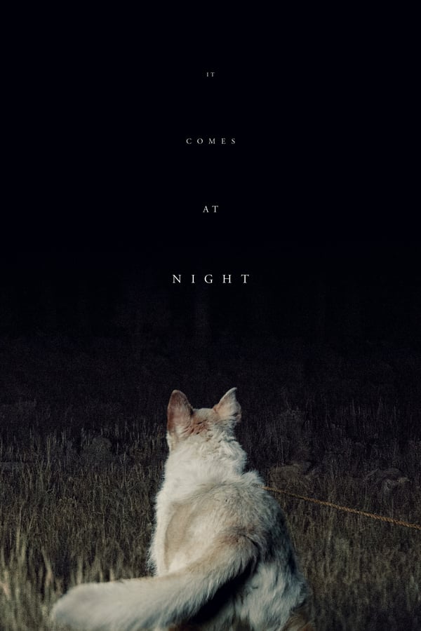 SE - It Comes at Night