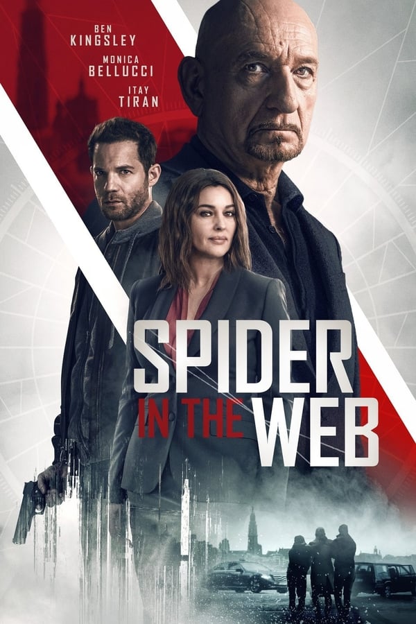 FR - Spider in the Web (2020)