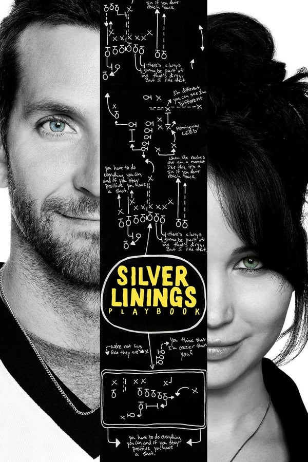 EN - Silver Linings Playbook (2012)