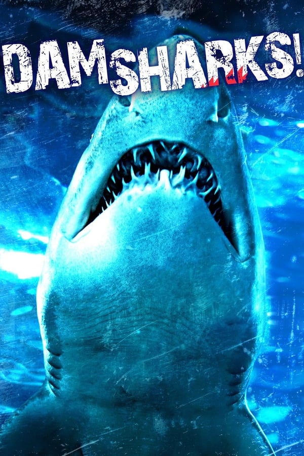 EN - Dam Sharks! (2016)
