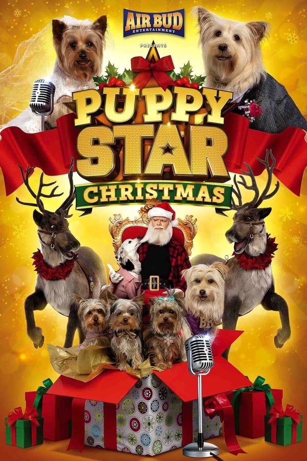 EN - Puppy Star Christmas
