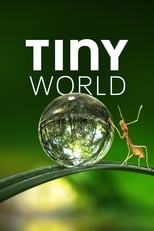 A+ - Tiny World (US)
