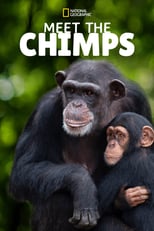D+ - Meet the Chimps (US)