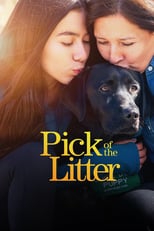 D+ - Pick of the Litter (US)