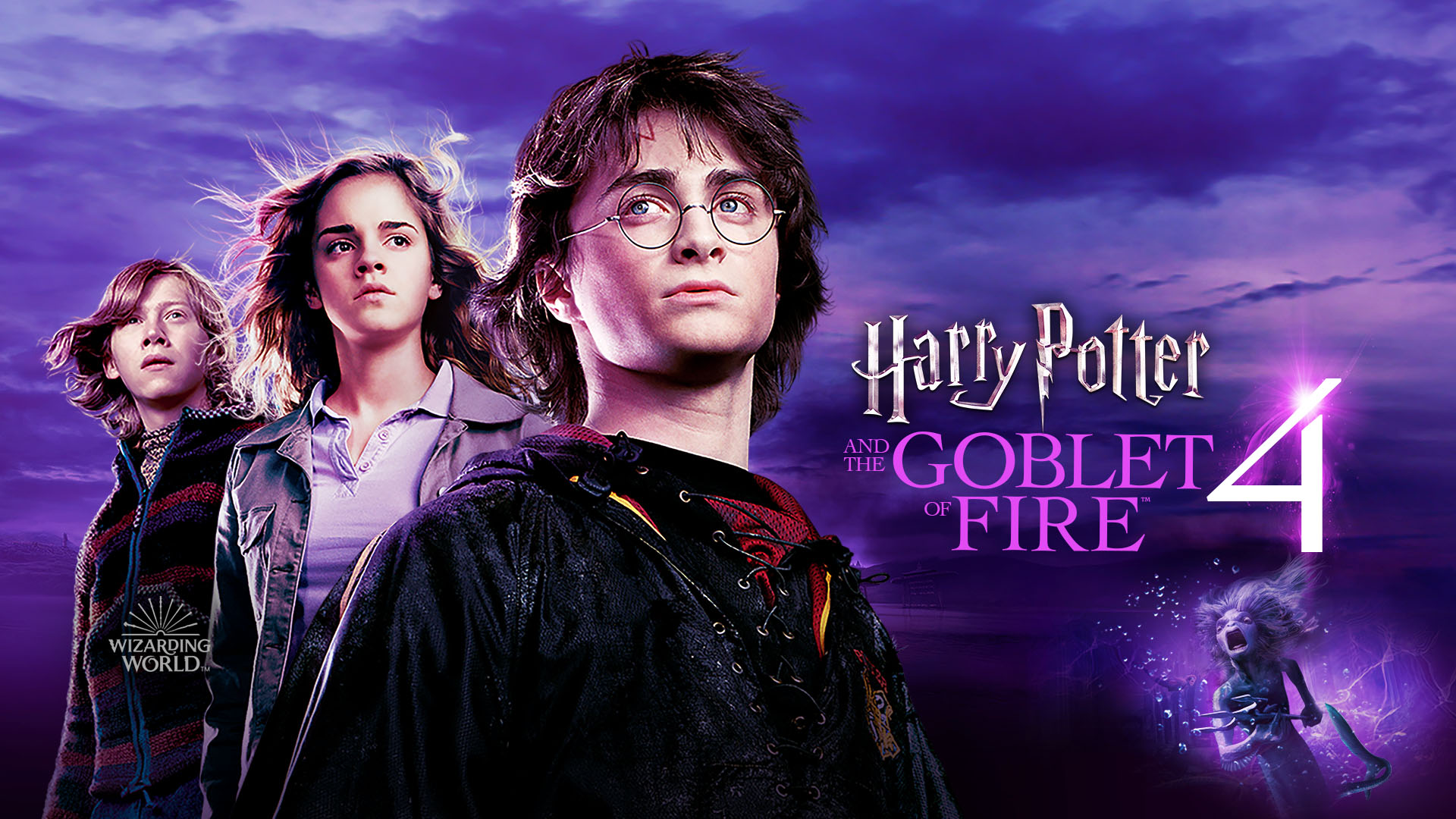 Harry Potter and the Goblet of Fire (2005) 0