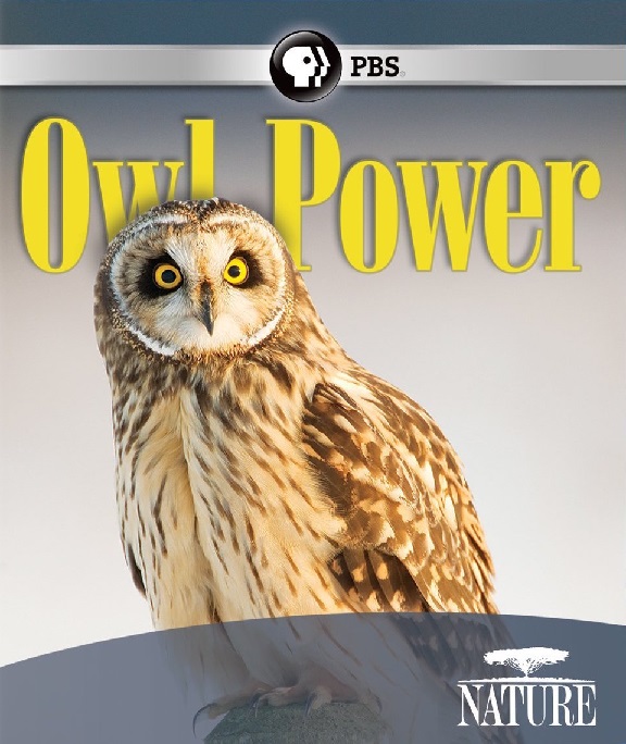 EN - NATURE Owl Power (2015)