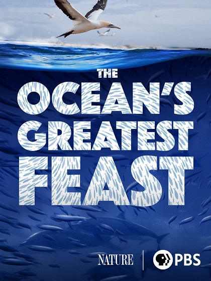 EN - NATURE The Ocean’s Greatest Feast (2022)
