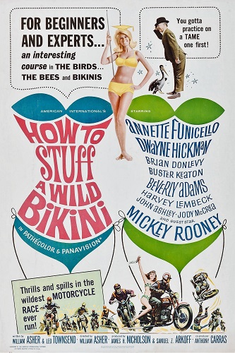 EN - How To Stuff A Wild Bikini (1965) BUSTER KEATON