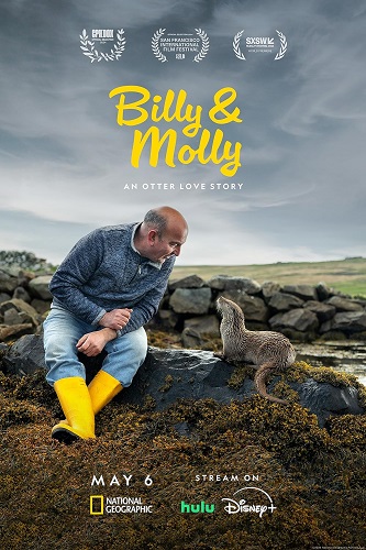 EN - Billy Molly An Otter Love Story 4K (2024)