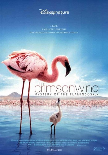 EN - The Crimson Wing Mystery Of The Flamingos (2008)