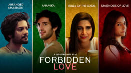 IN - Forbidden Love Rules Of The Game