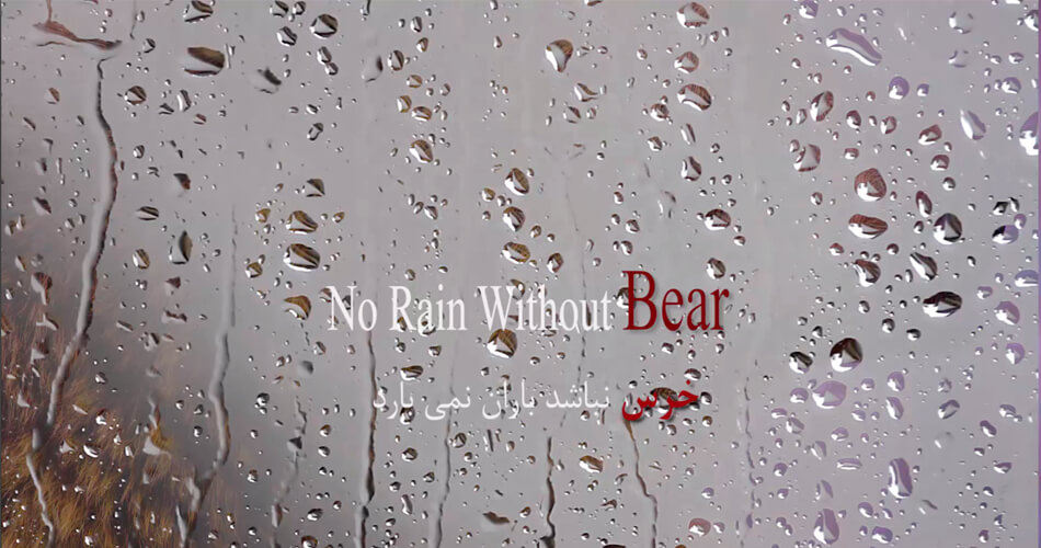 No Rain Without Bear 0