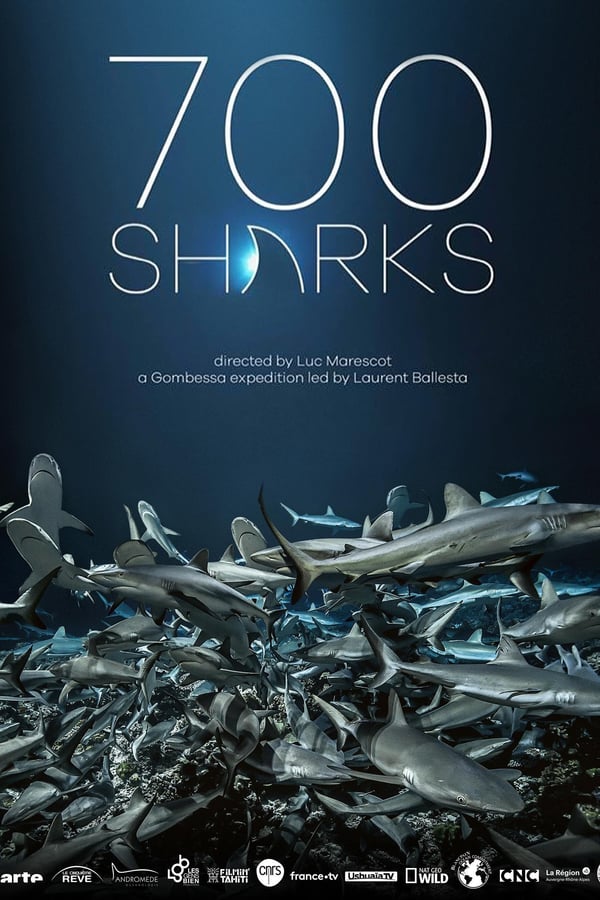 EN - 700 Sharks (2018)