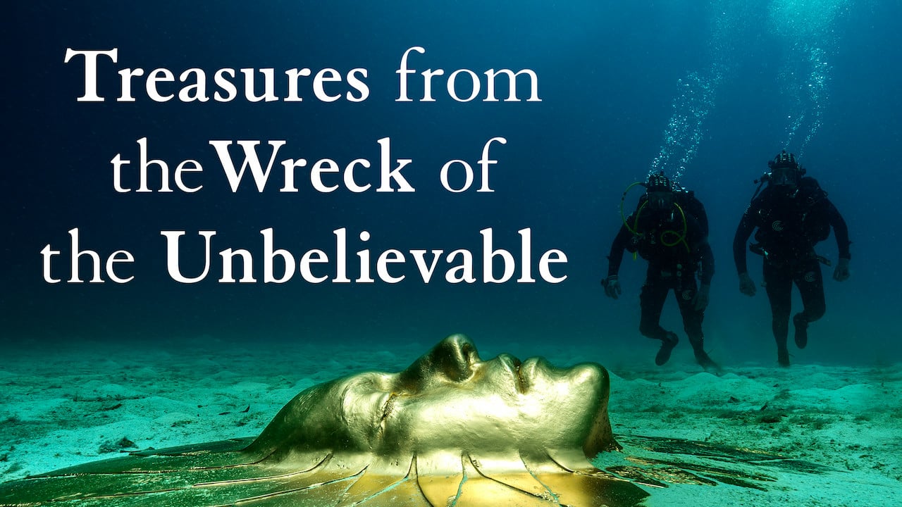 Treasures from the Wreck of the Unbelievable 0